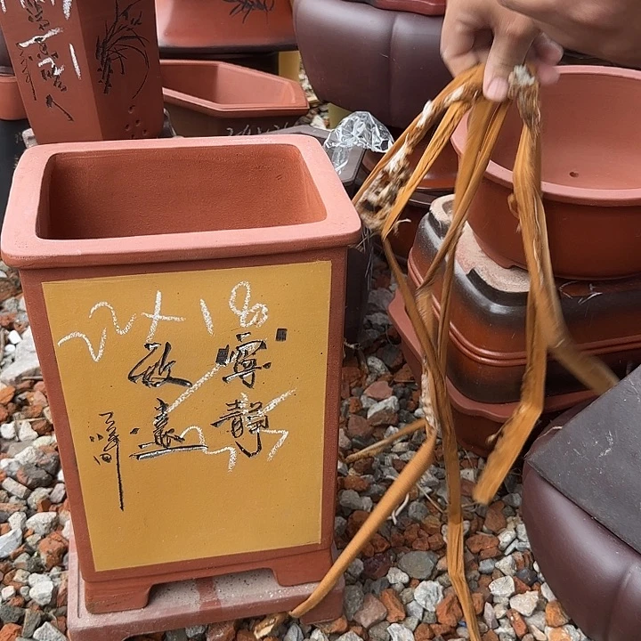 紫砂花盆紫砂花盆