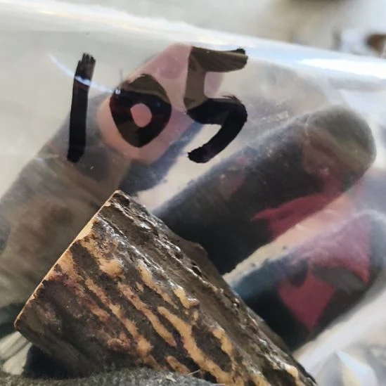 伊***O鹿角鹿角鹿角鹿角鹿角鹿角