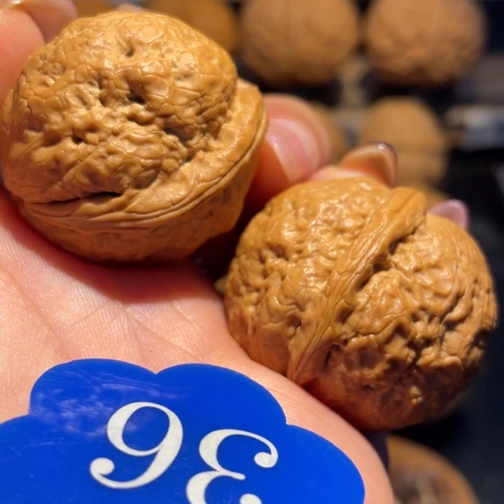 帝王蟾核桃尺寸35