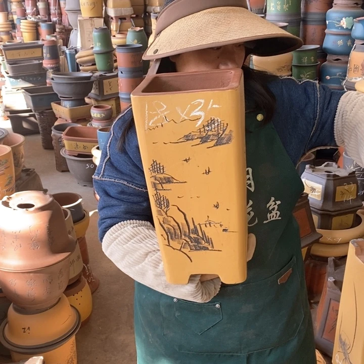 紫砂花盆紫砂花盆盆栽花卉