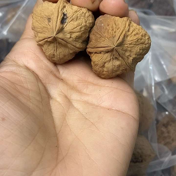 文玩核桃把件云南铁核桃基地35