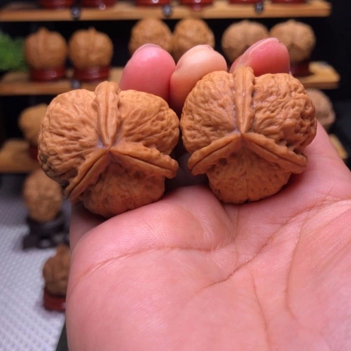 【闪购商品】白羊三棱34