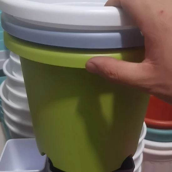 25口22高三个四季盆