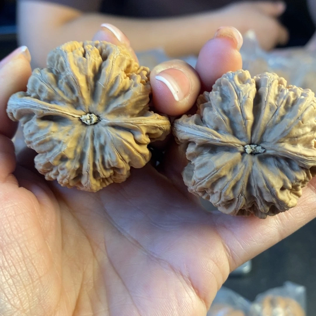 文玩核桃把件47粗筋128