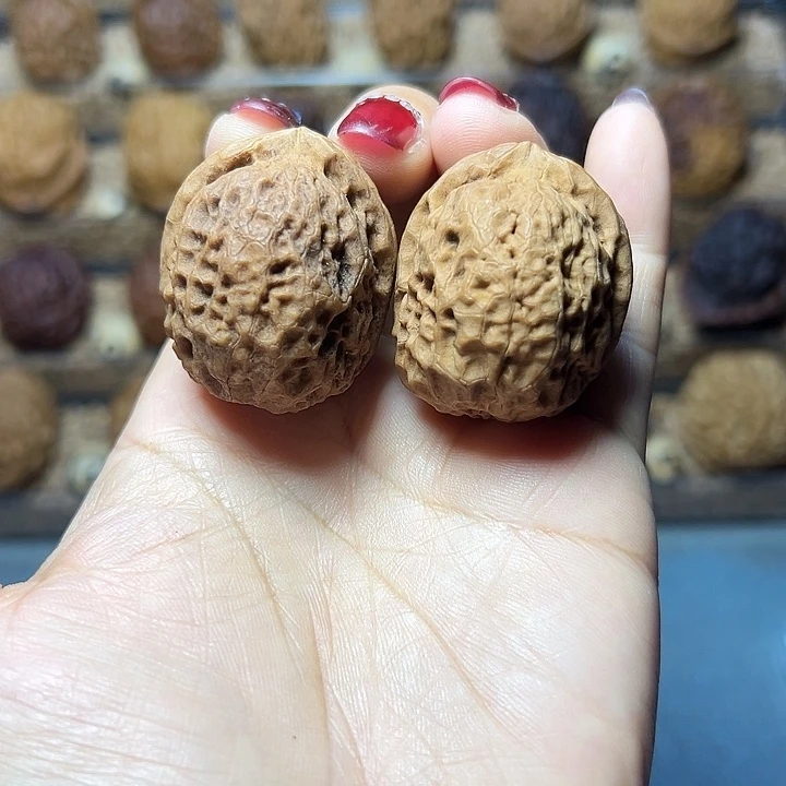 把件文玩核桃11号粗筋绣球纹38尺