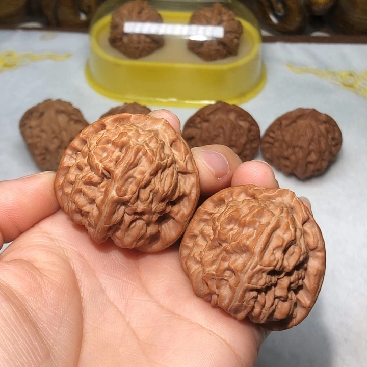 文玩核桃41.5白狮子