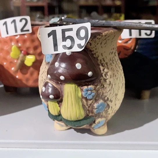 多肉植物花盆花盆