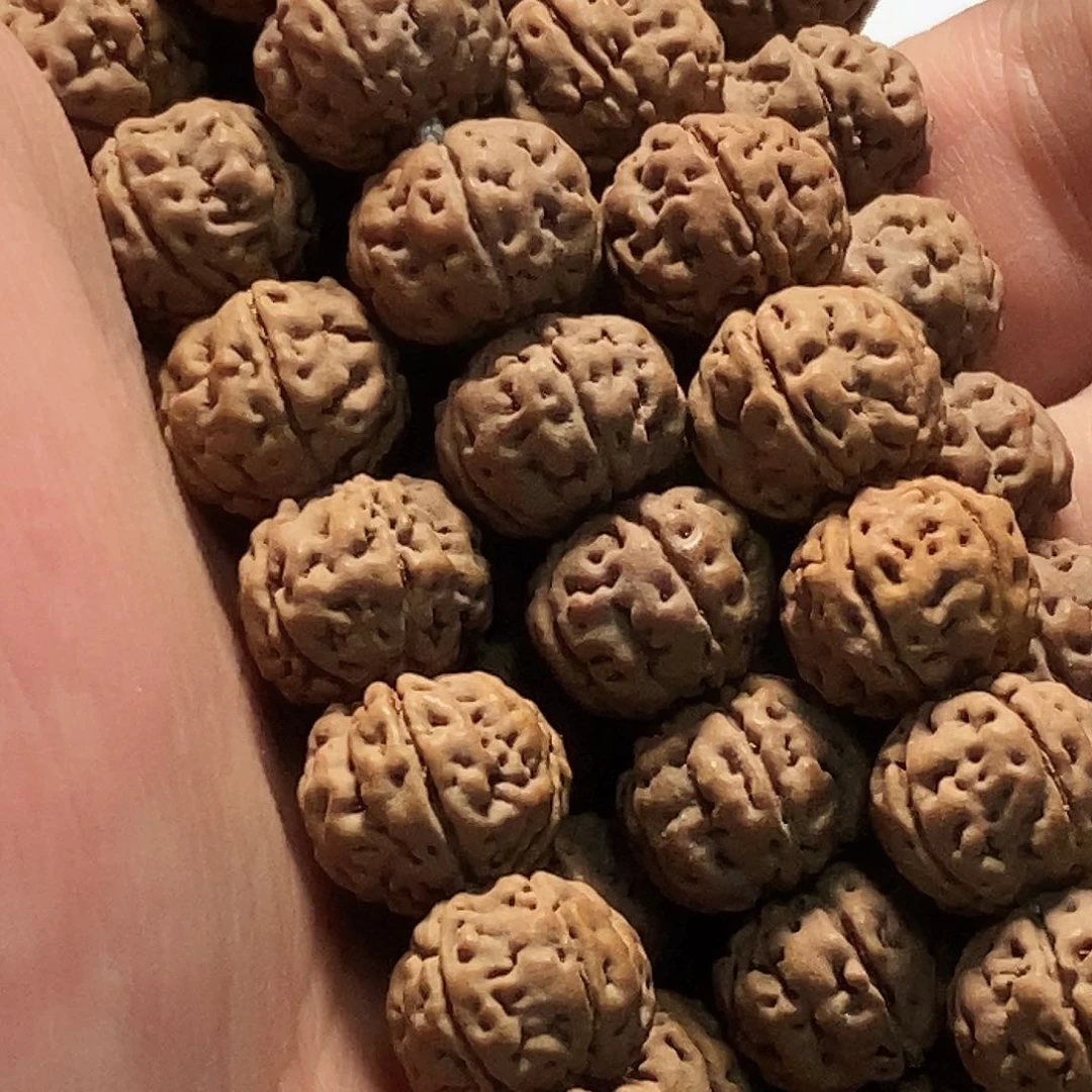 金刚菩提手串11 mm纯血老树王手持