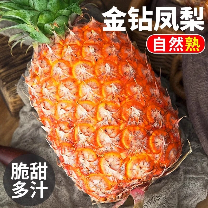 【海南】凤梨1个（约1.4kg）