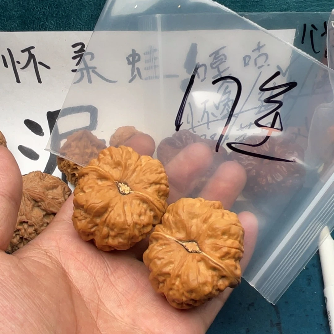 核桃683368836386369863963369