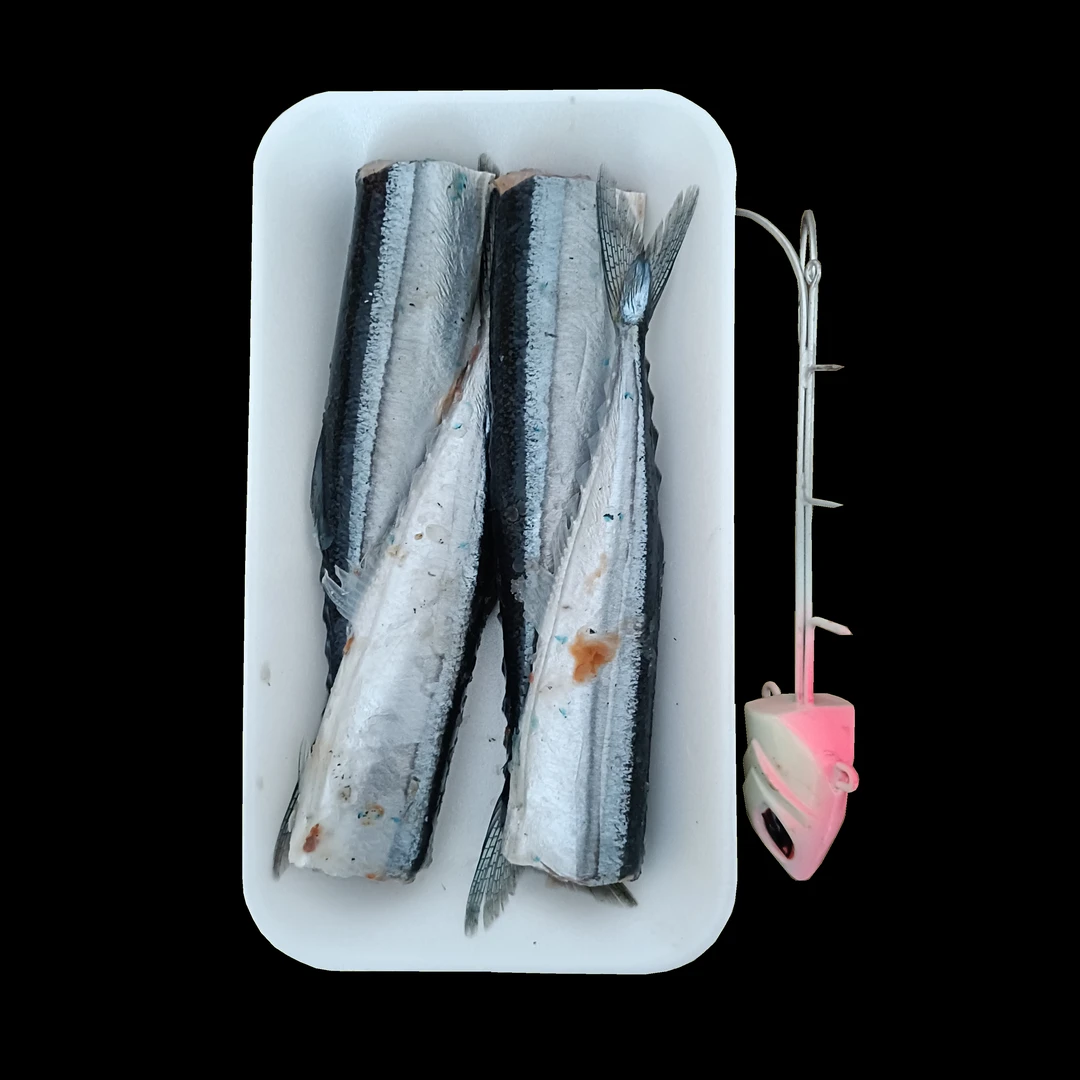 精选秋刀鱼天亚饵刀鱼饵天亚专用秋刀鱼(生鲜品售出不退介意勿拍）