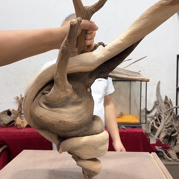 柏木6****6我们都是好孩子呀我也是