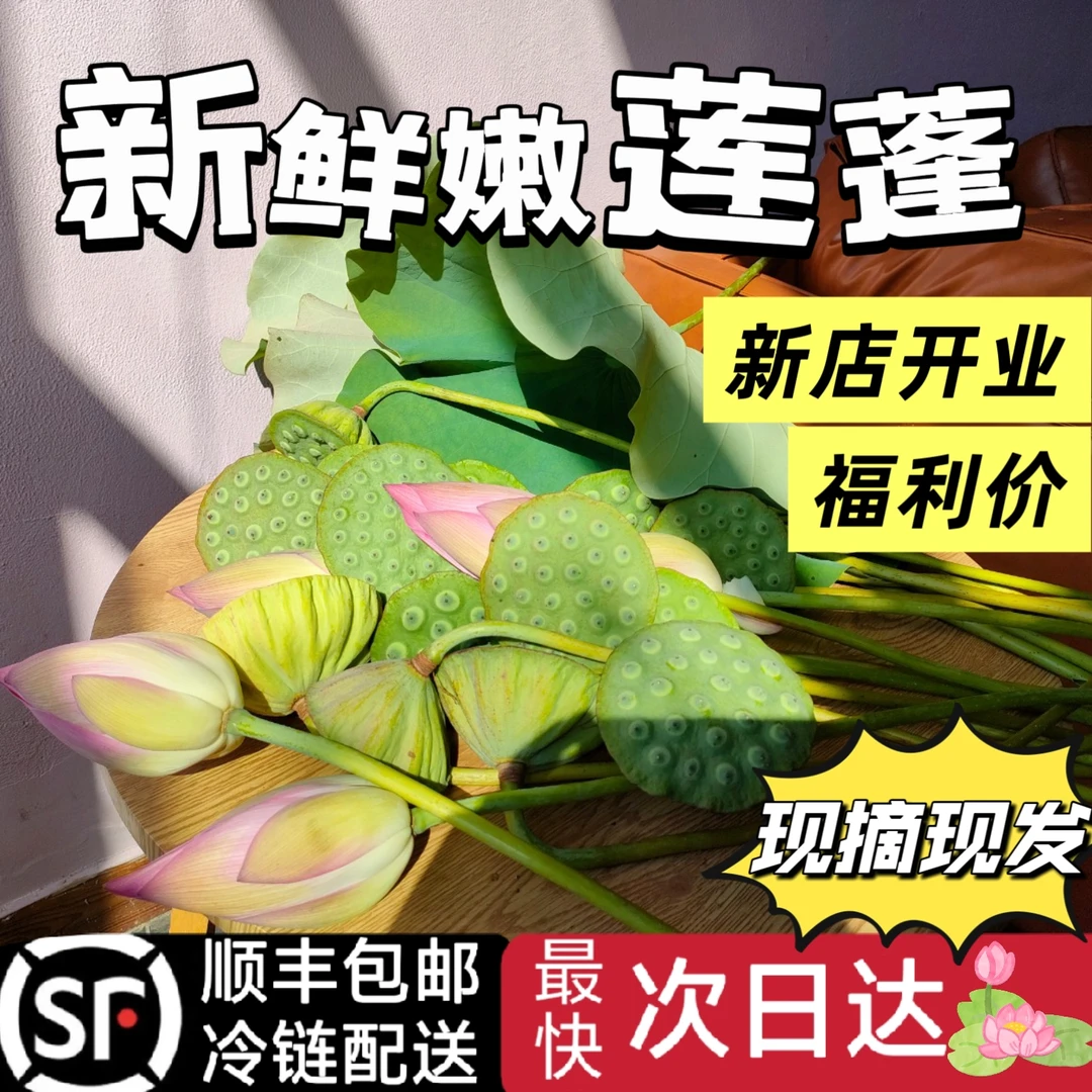 太空莲现摘现发嫩莲蓬湖北当季应季水果莲子莲米现摘即食顺丰包邮