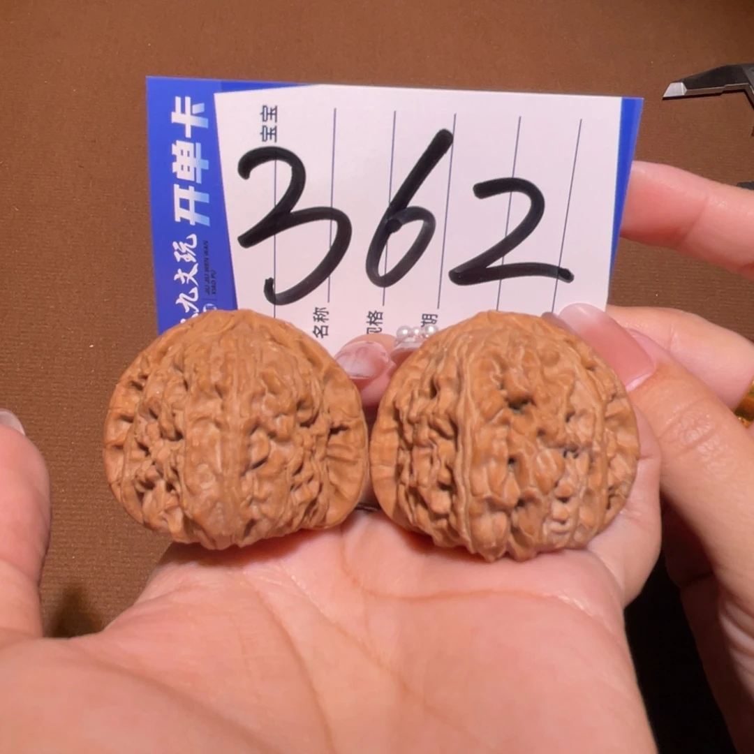 把件文玩核桃41白狮子全品