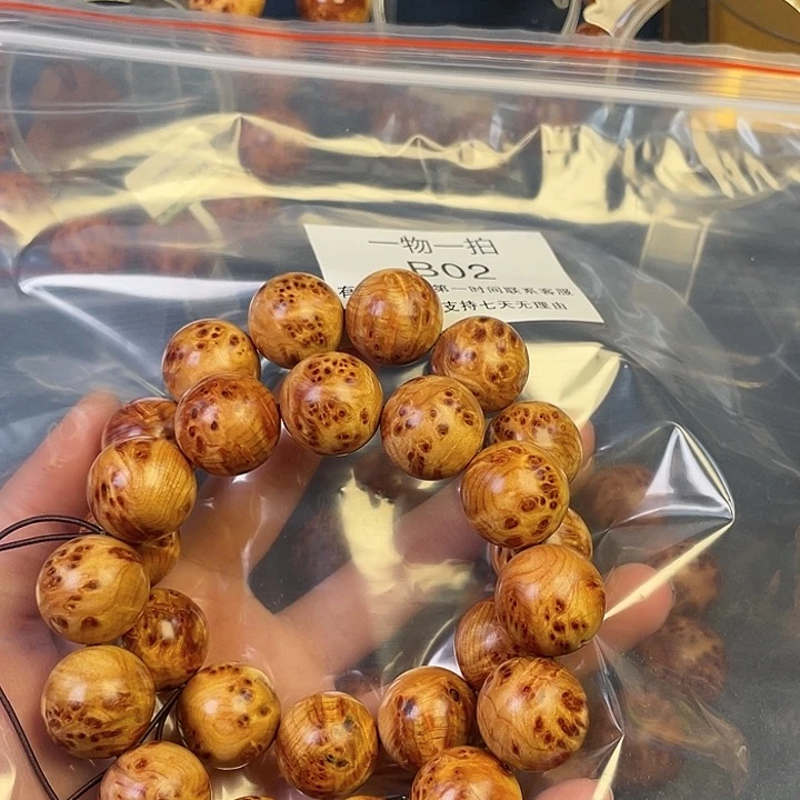 柏木（崖柏）其他（****）2