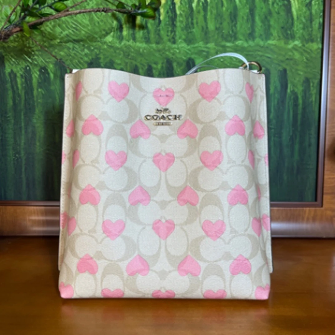 95新 COACH/蔻驰 单肩包/20*11*22/A522