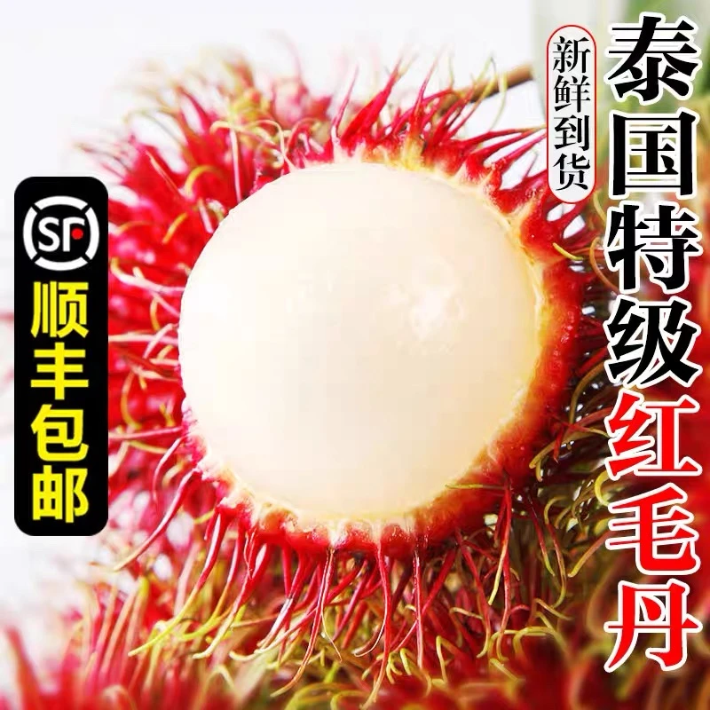 顺丰包邮泰国东部大果红毛丹现摘现发树上熟新鲜应季热带水果