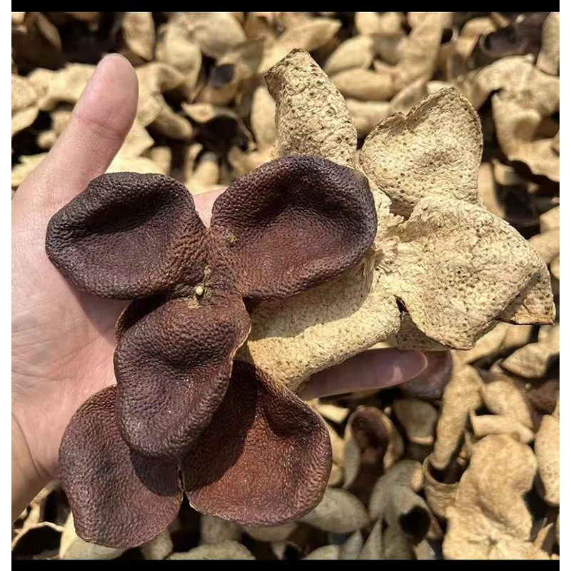 老陈皮泡水老陈皮茶叶干橘皮橙皮泡茶正宗特产罐装茶送礼