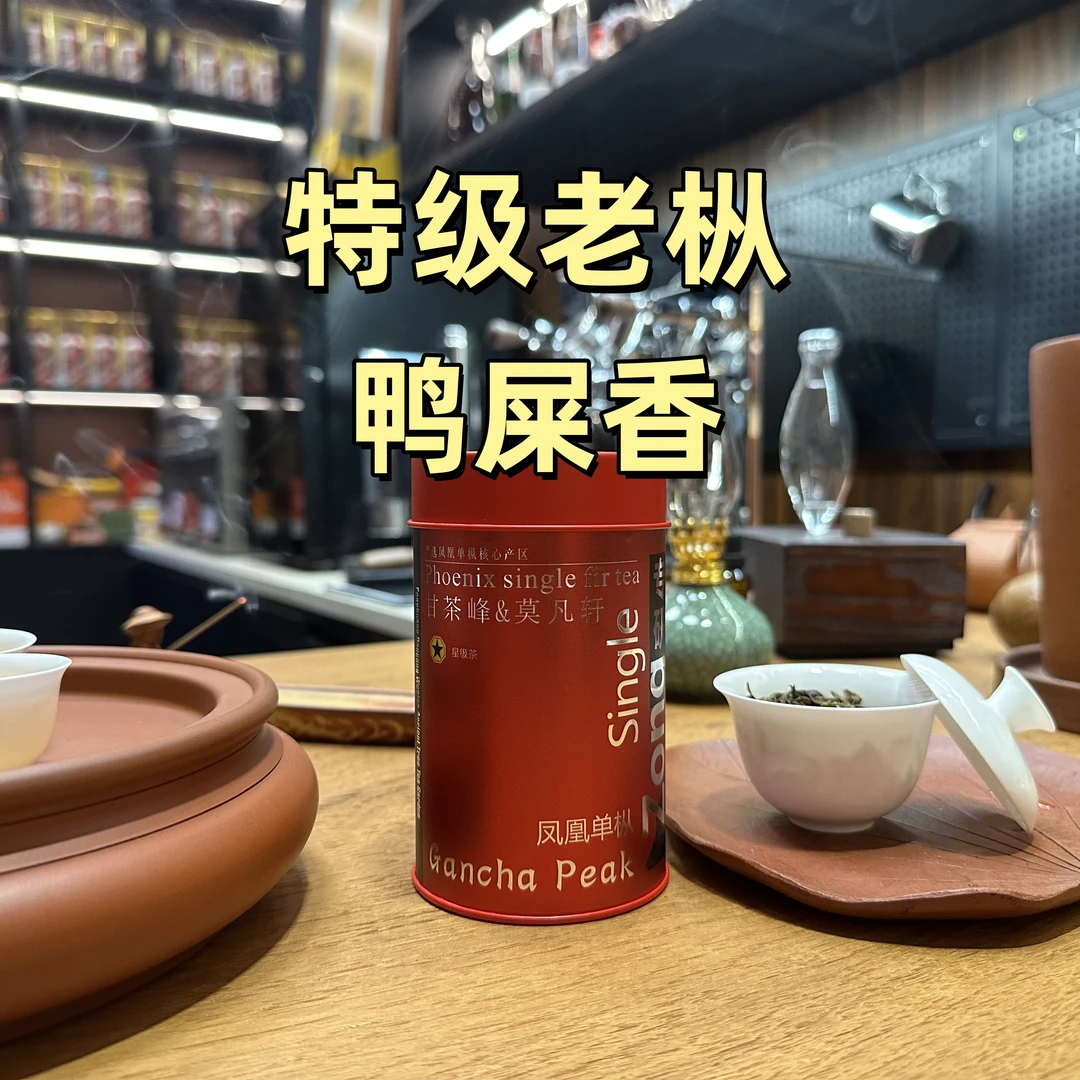 甘茶峰&莫凡轩【特级老枞鸭屎香】潮州凤凰单丛单枞 罐装春季50g