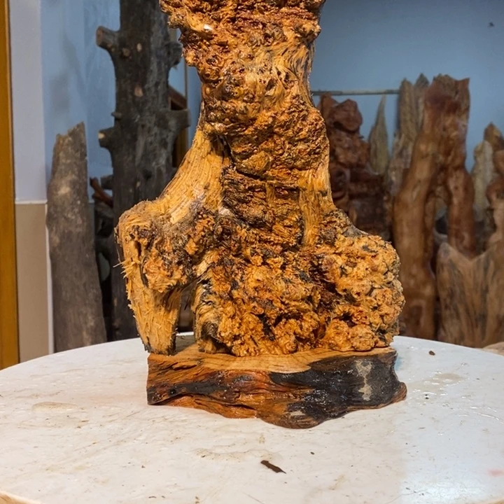 踏***人我们都是你的粉丝2