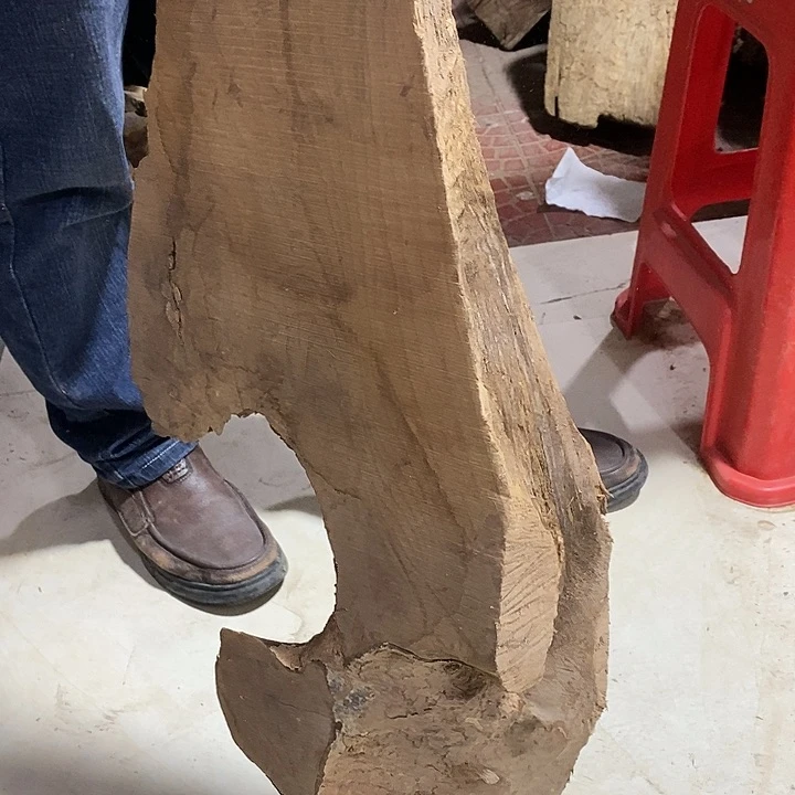 乌木类大*金丝楠木叶