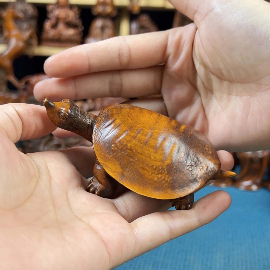 黄杨木?*子小叶黄杨木