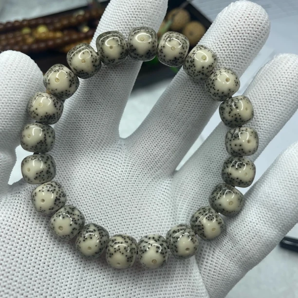 11×10 妥妥黄金瞳大眼睛毕业货