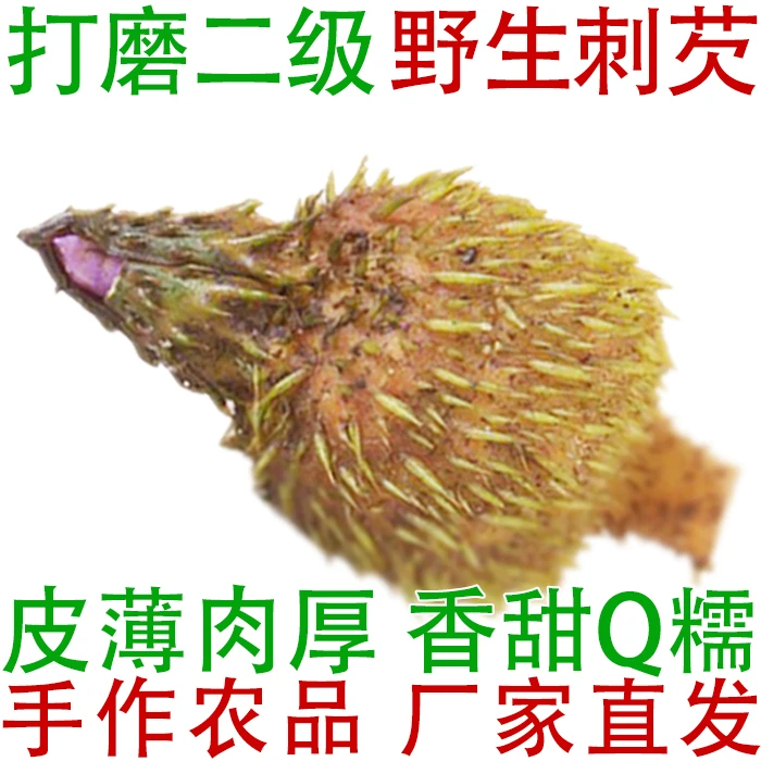 野生刺芡 25年新鲜带壳鸡头果芡实特产 打磨二级鲜果8-10mm鸡头米