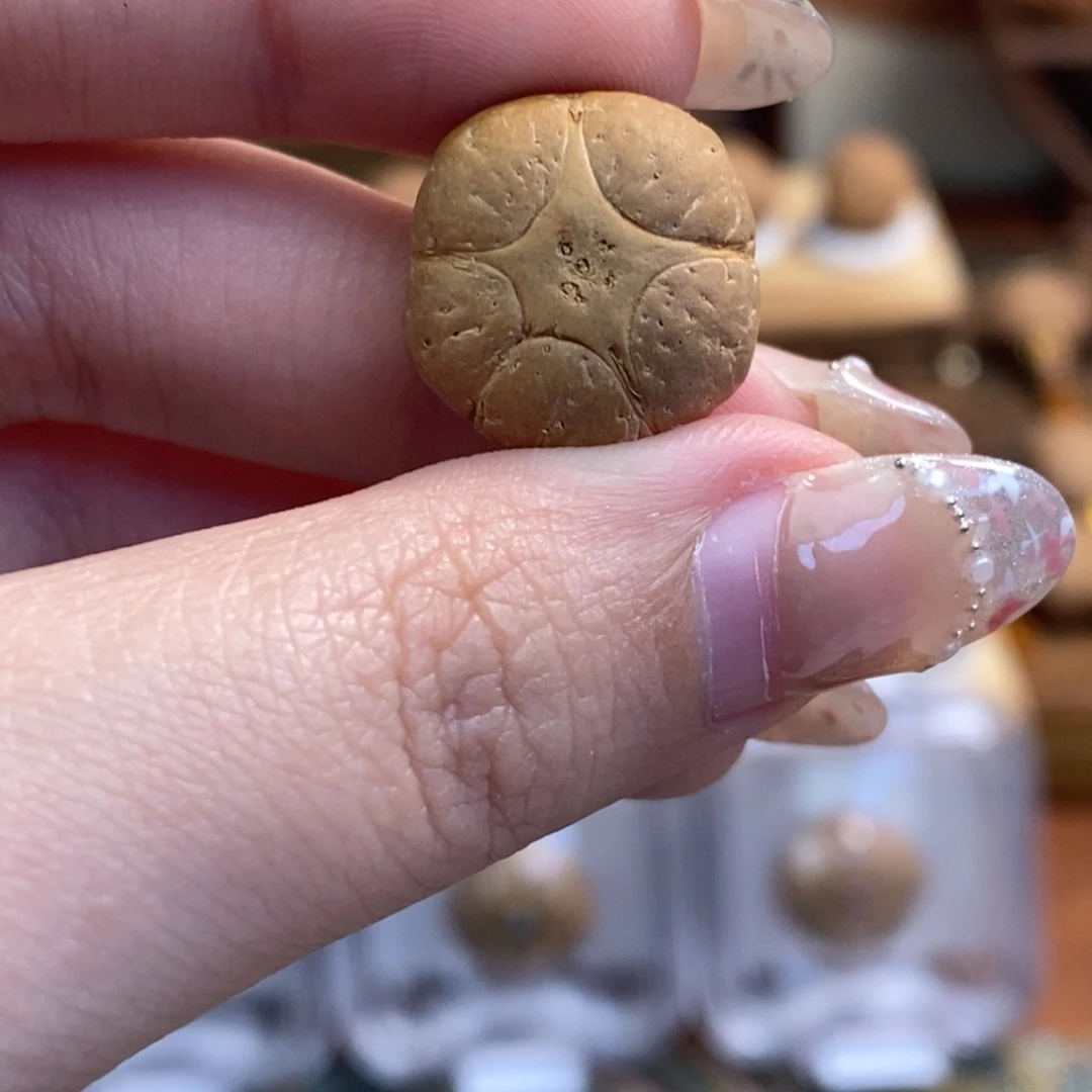 凤眼菩提吊坠五星