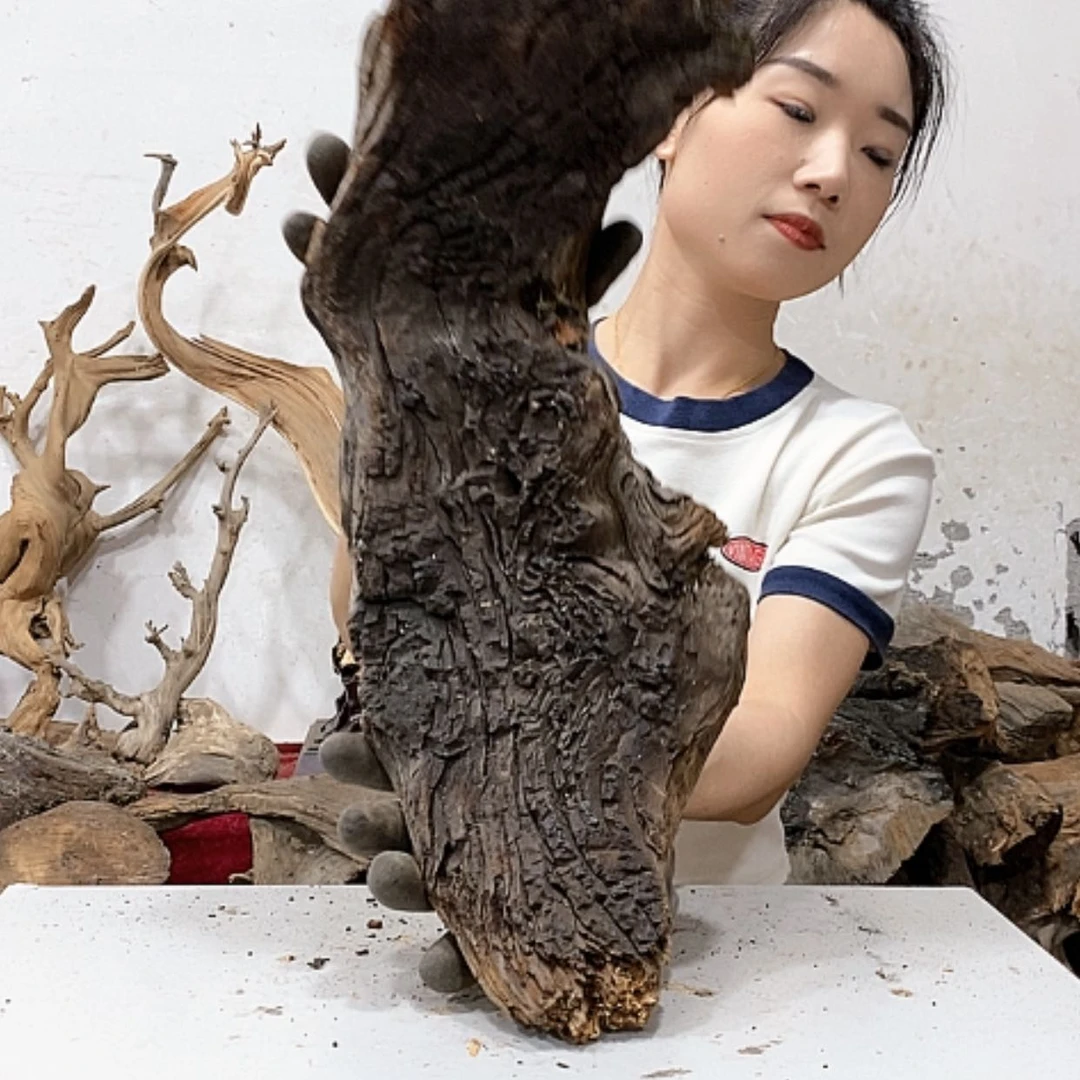 【闪购商品】柏木上****啦我们都是好孩子