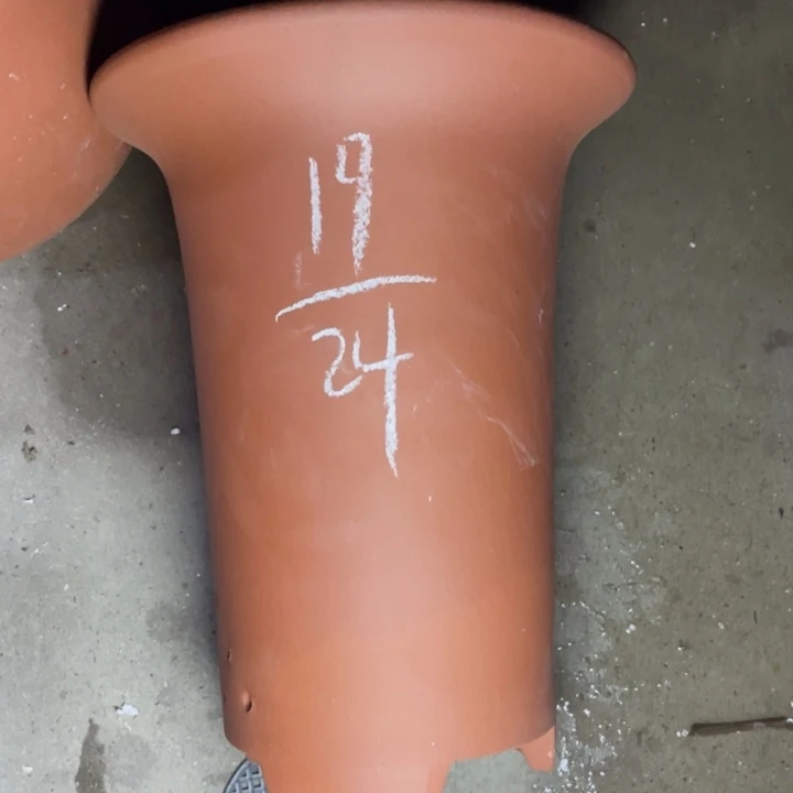 周深周深周深周深周深