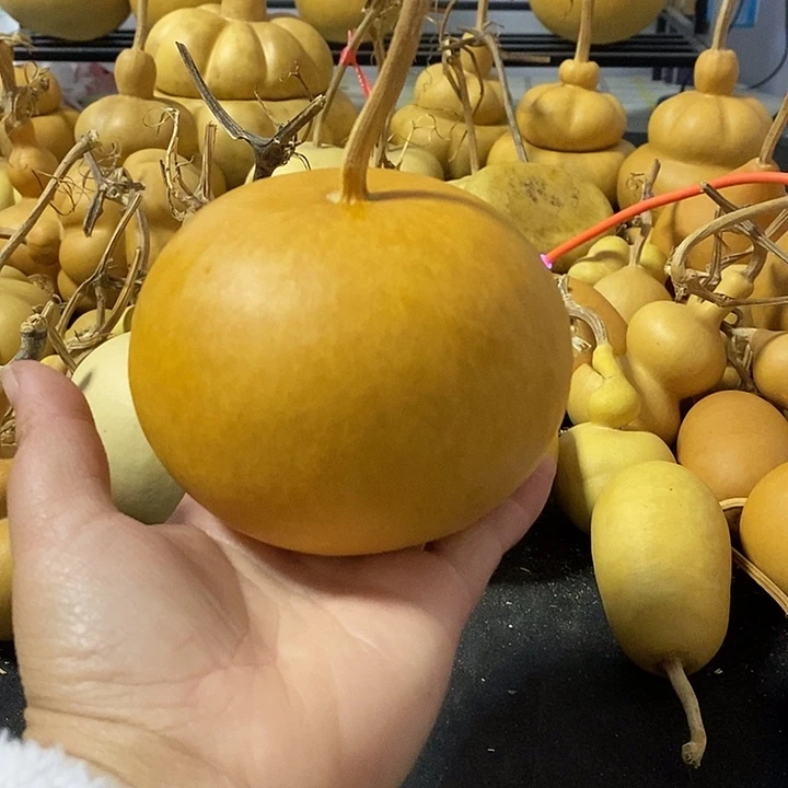 無**心葫芦的颜色很好看啊