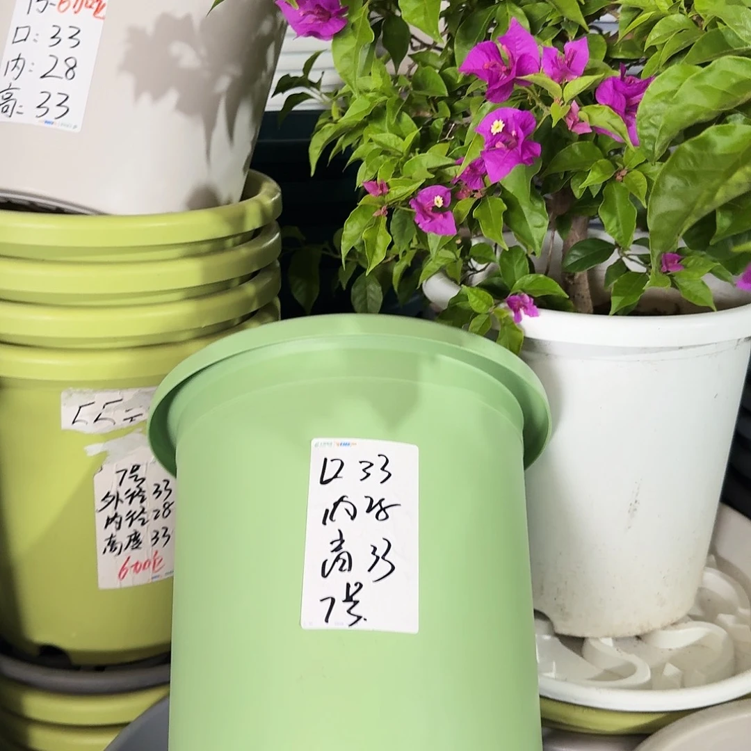 微瑕7#口径33无拖新绿色10个