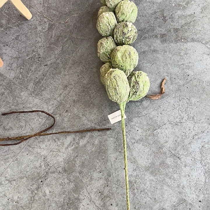 拍品大福利大福利大福利