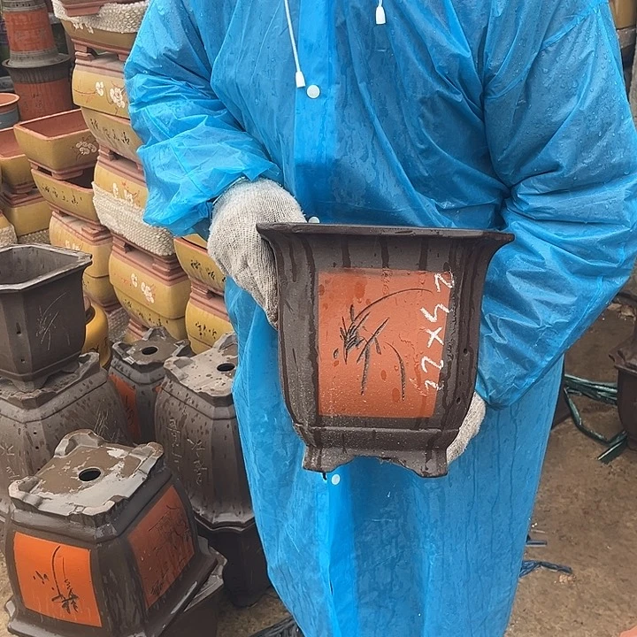 紫砂紫砂花盆和小盆栽