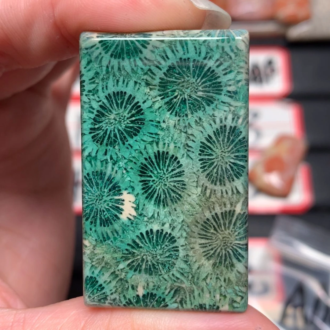 【闪购商品】未镶嵌颈饰硅化玉森**火