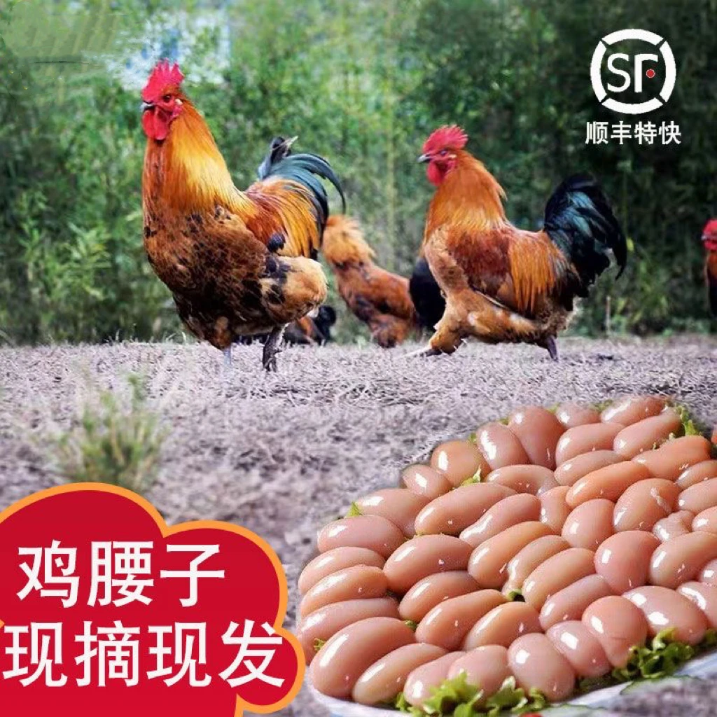 超大种鸡腰子 腰仔现摘现发鸡宝公鸡蛋正宗土鸡腰【顺丰包邮】