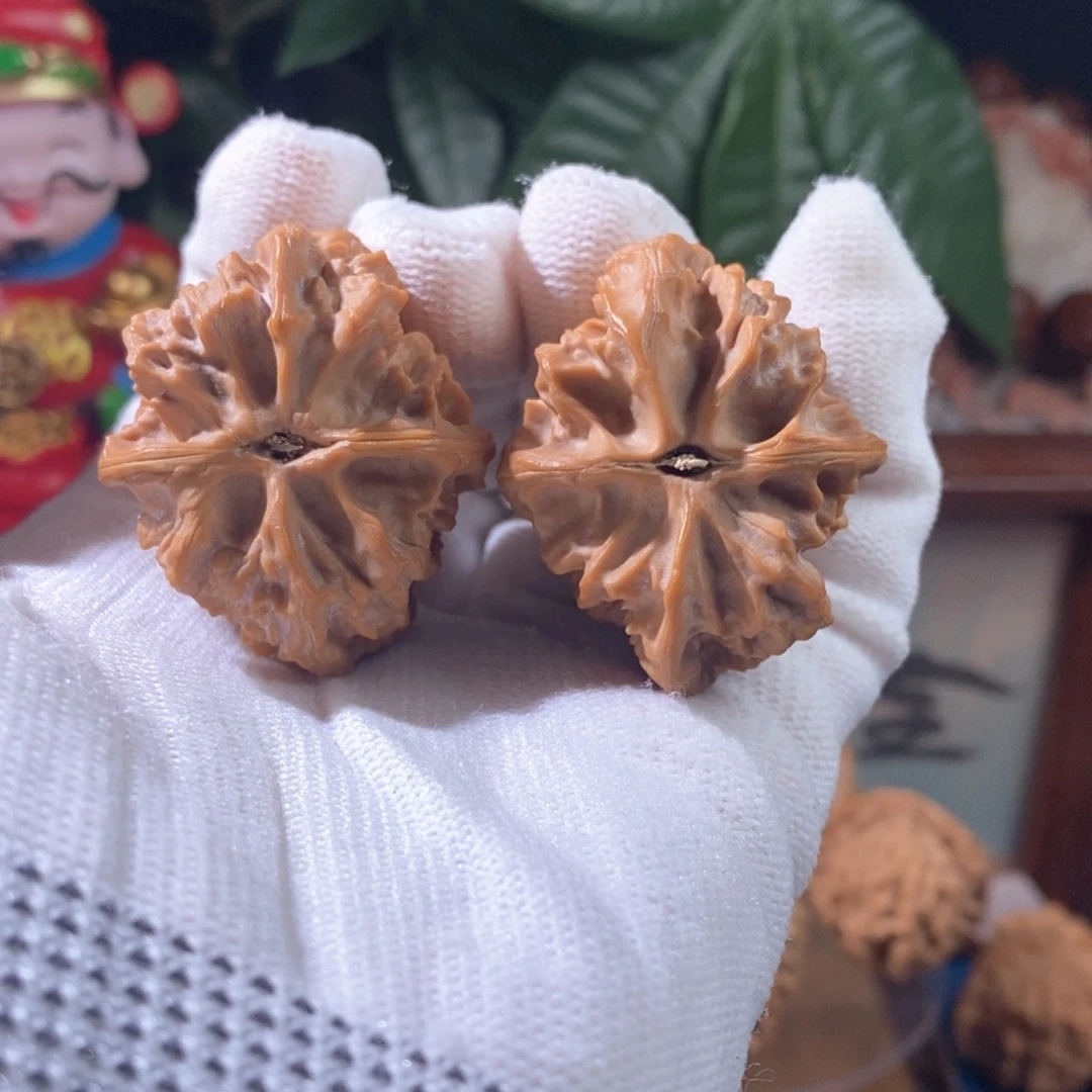 文玩核桃吊坠E****t龙骨