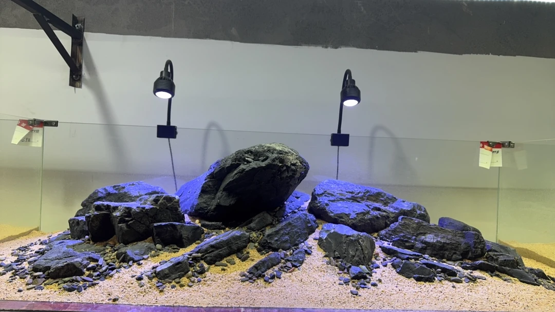 黑砂山原生峡谷黑金溪流石