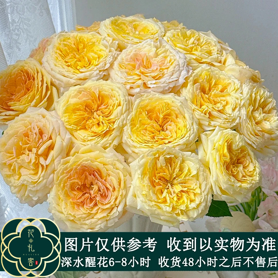 七叶花坊# 【焦糖】高品质鲜花 顺丰直发