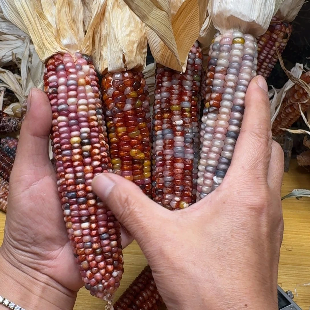 碎***辰柏香籽/百香籽吊坠