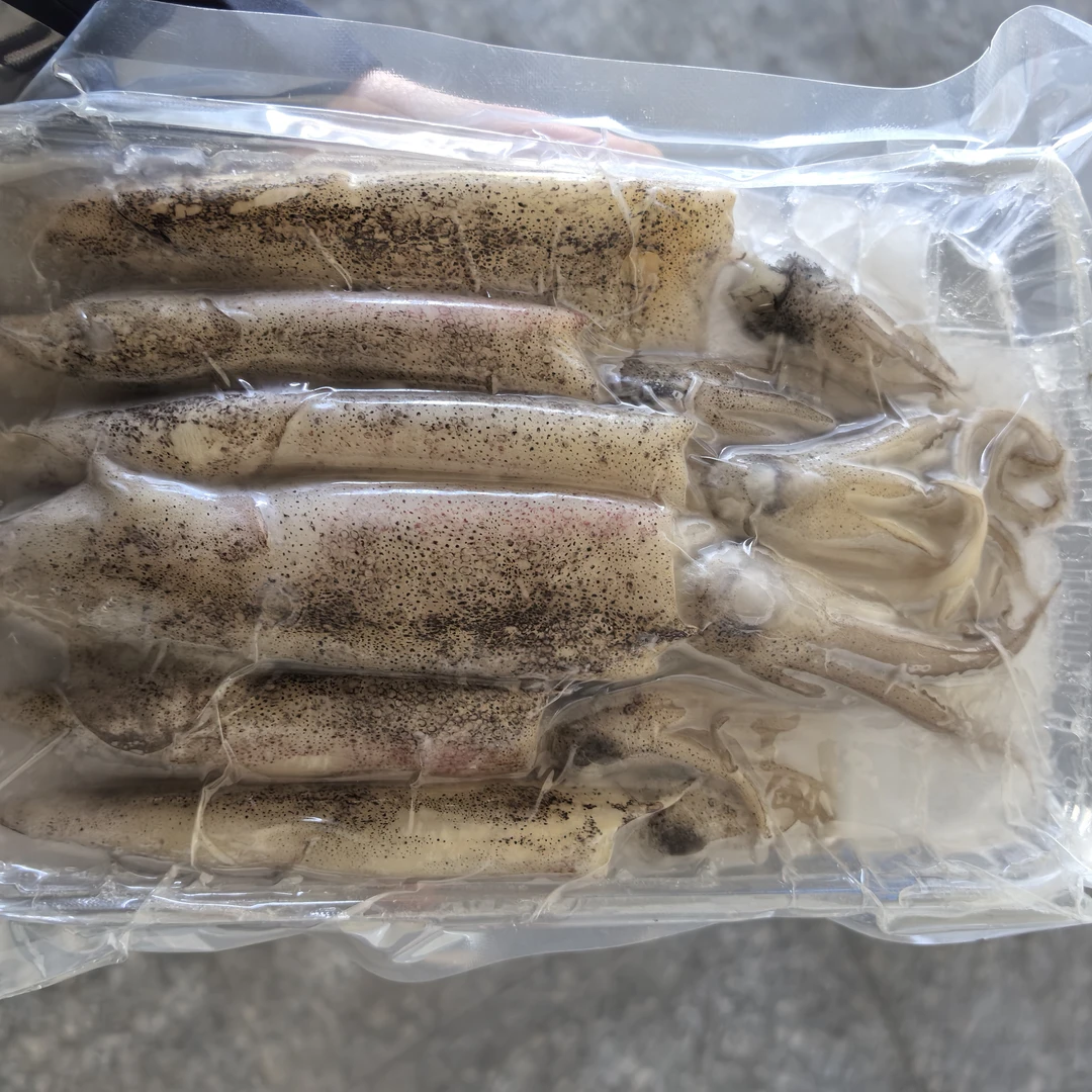 深海笔管鱼海兔籽乌小鱿鱼冷冻海鲜籽乌生鲜笔管鱼