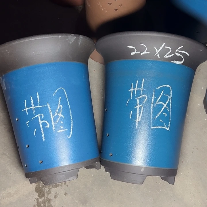 周深周深周深周深