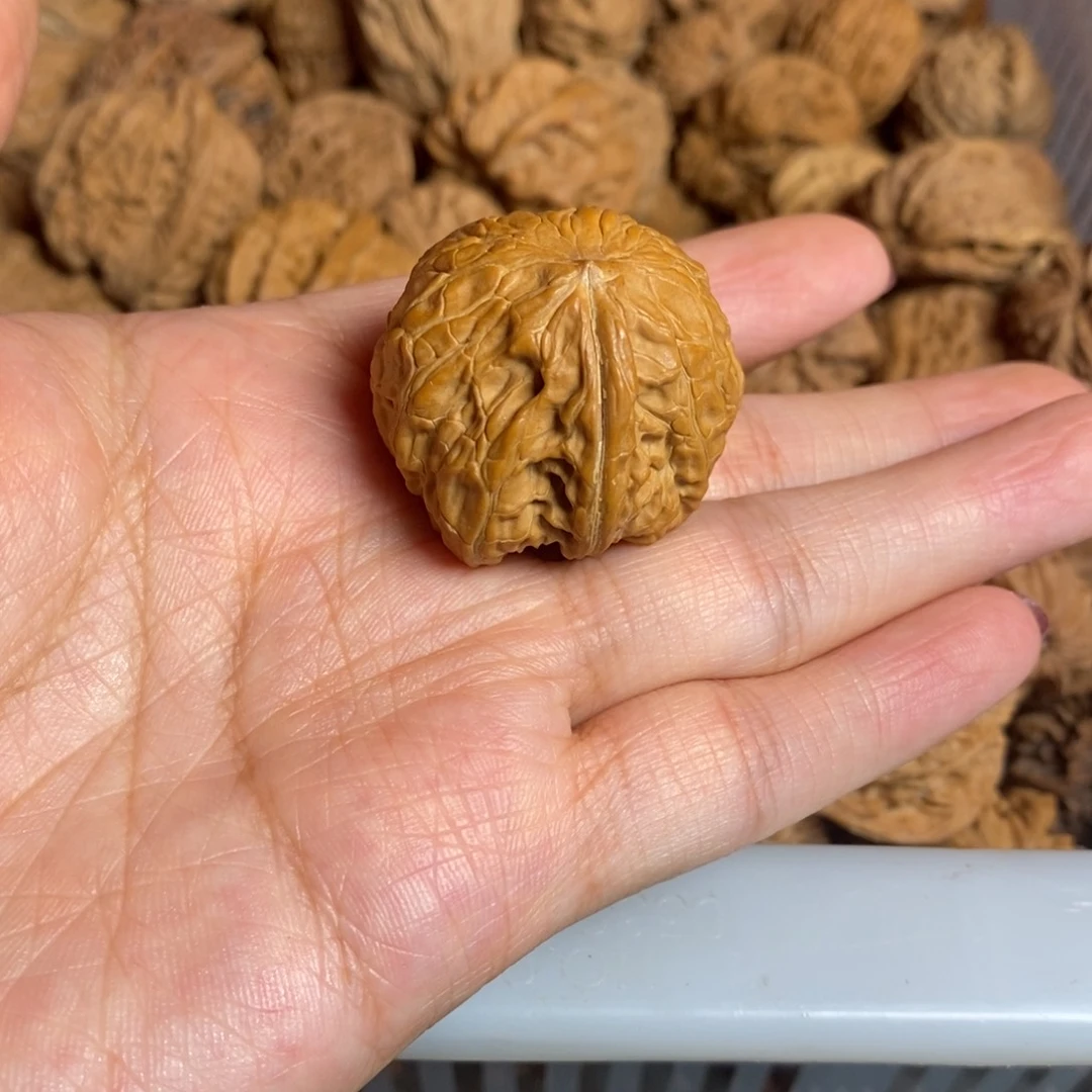 河***源文玩核桃把件文玩