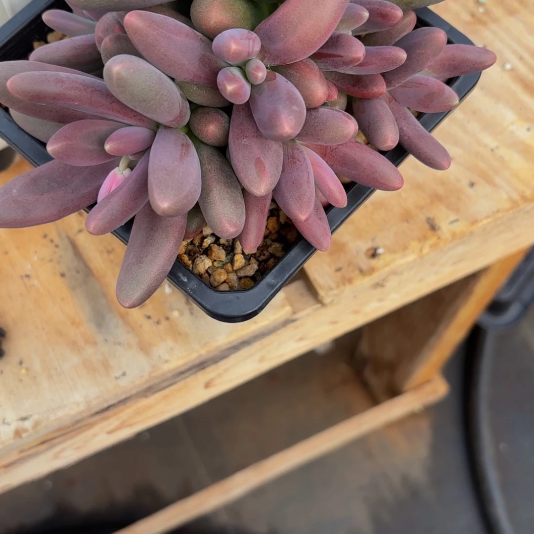 女*Jbbbbbhhhhhhbbbvbbh