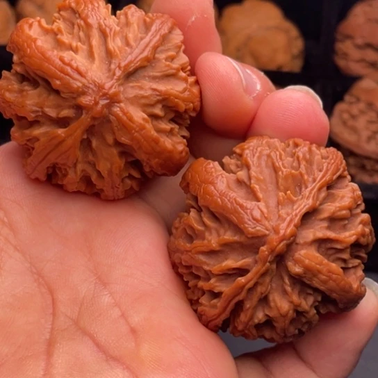 文玩核桃把件秦岭山脉核桃