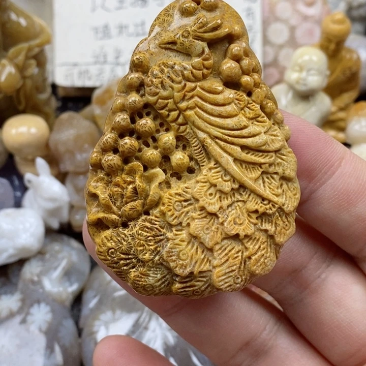 颈饰未镶嵌硅化珊瑚（珊瑚玉）