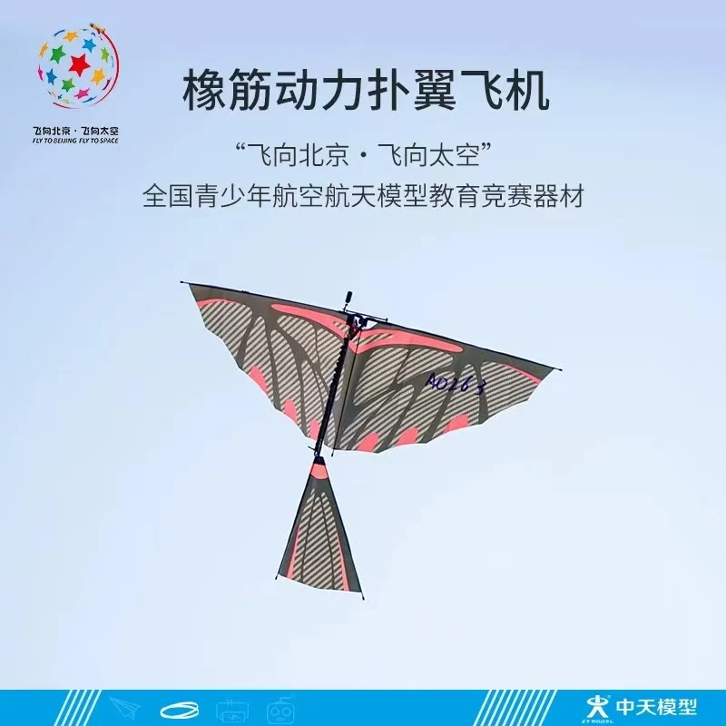 【园长户外精选】亲子制作：手抛飞鸟|公园户外必备|益智成长|碳纤维