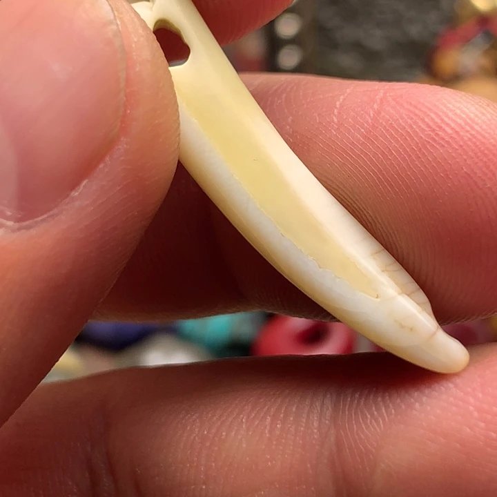 11111111111111111111111