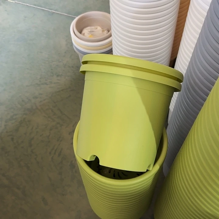 微瑕4#果绿8个无托